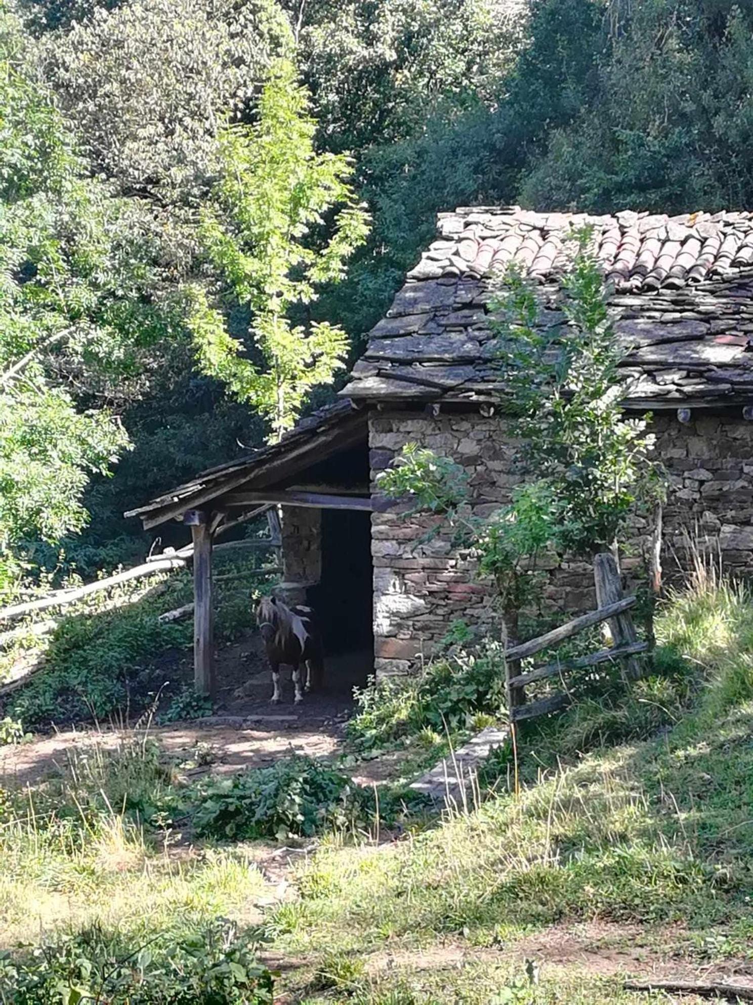 Asturias Boho Chic Apartment Aller Екстериор снимка